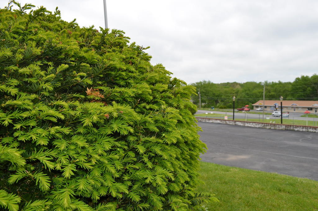 Paramount Motel East Stroudsburg Exterior foto